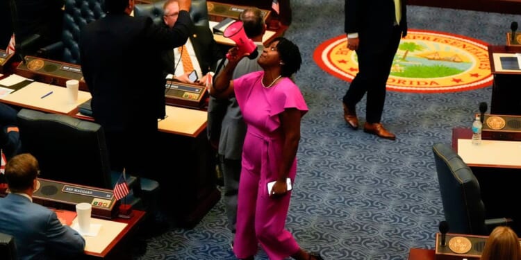 Angie Nixon compares ICE agents to ‘modern-day slave catchers’