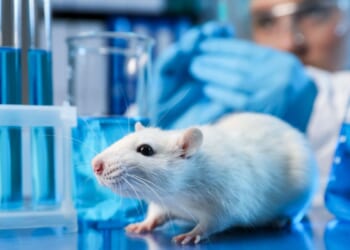 Trump’s EPA just took a step toward ending all animal testing by 2035