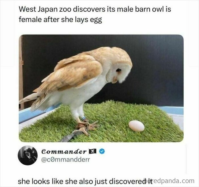 She