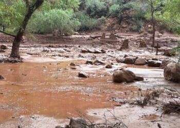 Dozens evacuated from Grand Canyon after flash flood hits creek leading to the Colorado River