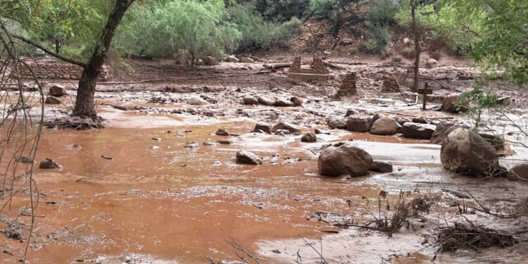 Dozens evacuated from Grand Canyon after flash flood hits creek leading to the Colorado River