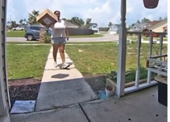 The delivery driver launched the package from several feet away, causing it to fly through the air before rolling onto the porch.