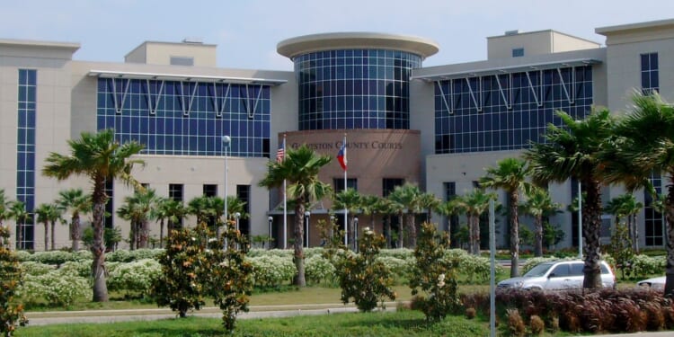 A modern courthouse building with large windows, surrounded by palm trees and greenery, with a few cars parked nearby and American and Texas flags at the entrance.