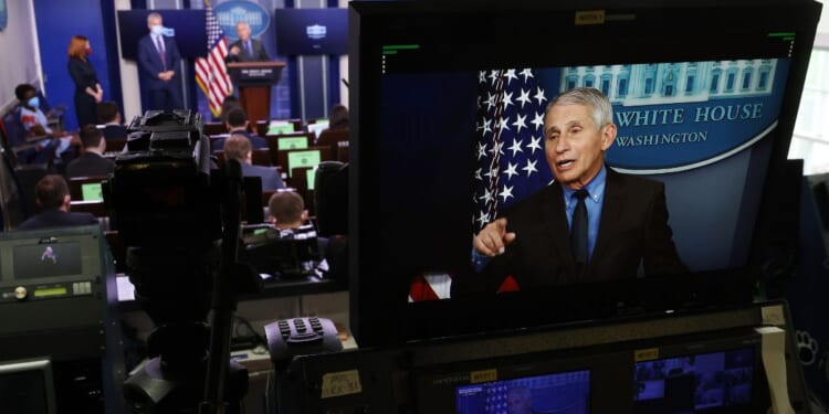 In front of the TV cameras, then-National Institute of Allergy and Infectious Diseases Director Dr. Anthony Fauci, seen in a photo from April 13, 2021, downplayed any risks to pregnant women from the COVID vaccine. In private texts, however, he sang a different tune.