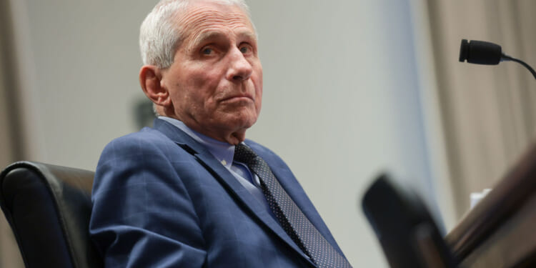 Fauci Called Them 'Three Stooges'—Now His COVID Critics Are Looking Vindicated