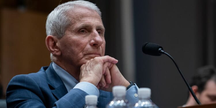 Former director of the National Institute of Allergy and Infectious Diseases Anthony Fauci evidently gave one fatality figure to the public, but a vastly different one in his private journal.
