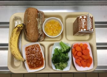 HHS Initiative Aims to Trash Highly Processed Foods in School Lunches – PJ Media