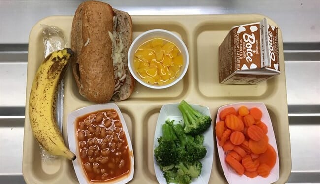 HHS Initiative Aims to Trash Highly Processed Foods in School Lunches – PJ Media