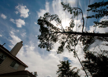 A tall tree leans toward a house under a blue sky with scattered clouds, sunlight shining through the branches. The house is partially visible on the left, and power lines cross the scene.