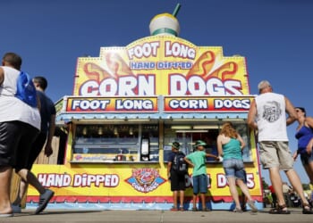 Mike Davis takes his party to the Iowa State Fair