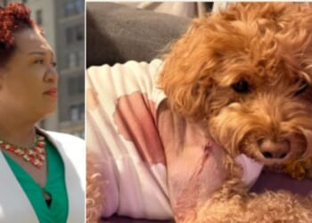 Brooklyn Judge Janice Robinson, left, let a man go free without bail after he was charged with attempted murder for allegedly shooting at a man, but accidentally hitting the service dog of a woman with Down syndrome. The dog, Honey, survived.