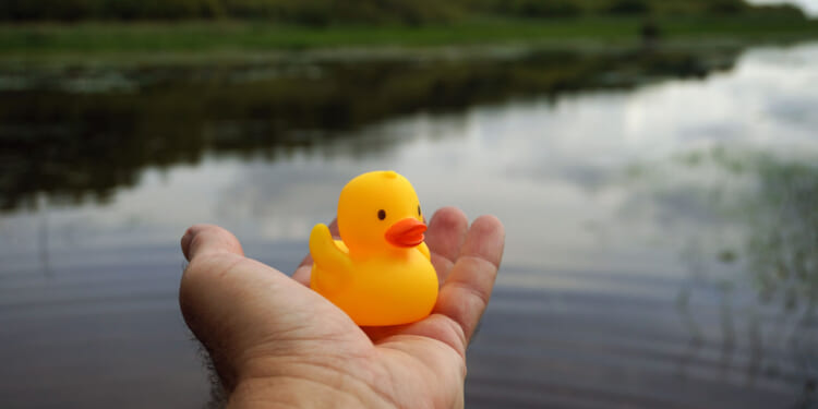 A person holds a small yellow rubber duck over calm water, with greenery and cloudy sky reflected on the lakes surface in the background.