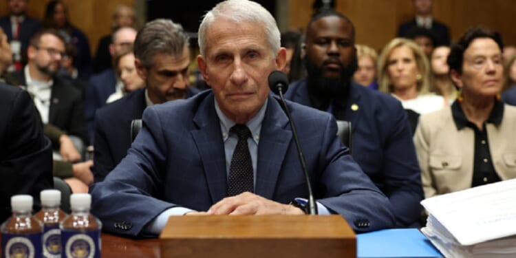 Dr. Anthony Fauci, pictured during the July 29 Senate hearing where he repeatedly invoked his Fifth Amendment rights to avoid testifying.