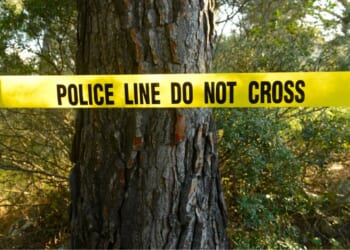The suspect was reportedly playing with the shadow thrown by his tree-grappling equipment and failed to notice how close it was to the coworker.