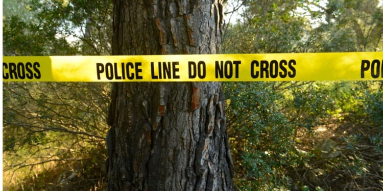The suspect was reportedly playing with the shadow thrown by his tree-grappling equipment and failed to notice how close it was to the coworker.