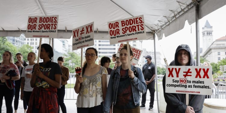 People hold signs reading OUR BODIES, OUR SPORTS and XY ≠ XX at an outdoor protest under a canopy. The group appears focused and engaged, standing together in an urban setting.