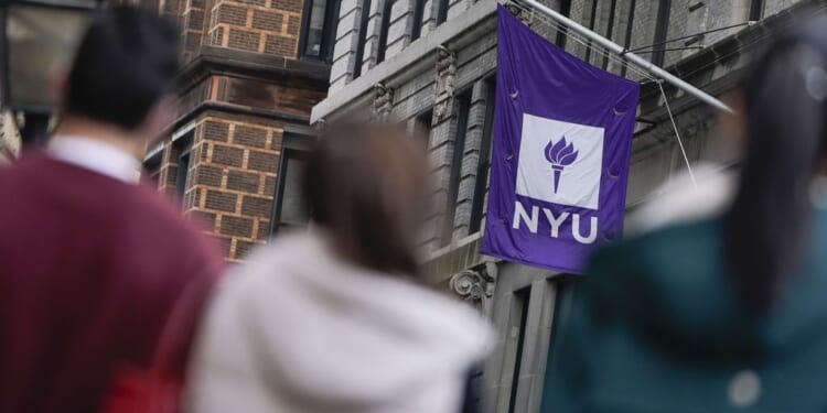 13-year-old Long Island prodigy set for NYU master's program