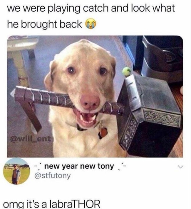 Thor