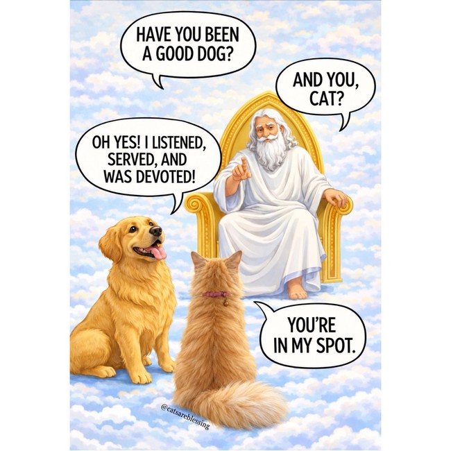 Spot