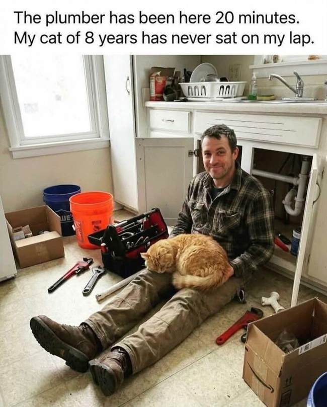 Plumber