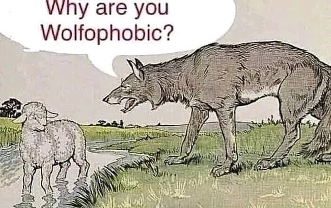 Wolfo