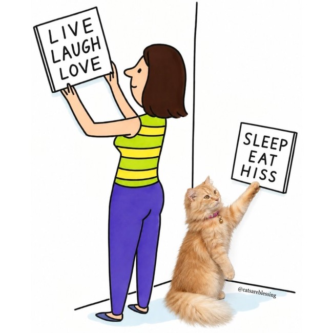Cats