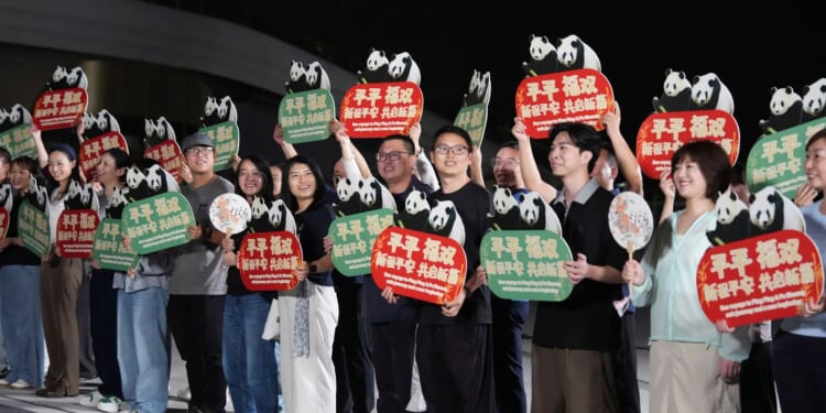 2 giant pandas arrive in Atlanta under a U.S.-China government agreement