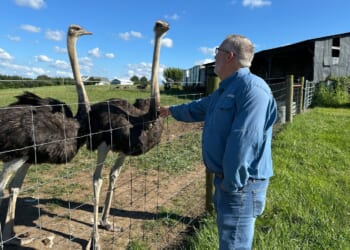 A Kentucky man with a meat allergy was craving a burger. So he got into ostrich farming