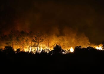 A wind-fueled wildfire forces hundreds from homes in Turkey as firefighters battle flames