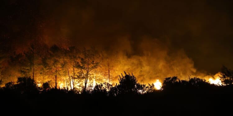 A wind-fueled wildfire forces hundreds from homes in Turkey as firefighters battle flames