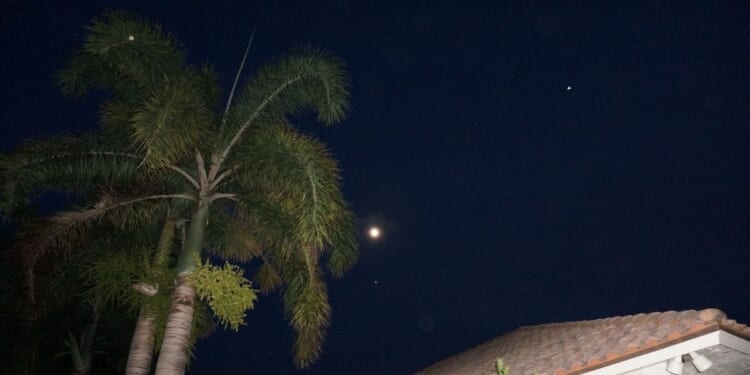 A full moon and palm trees.