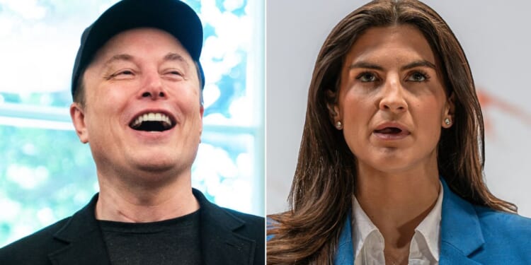 Would Elon Musk go for the deal just to goad leftist media personalities like CNN's Kaitlan Collins?