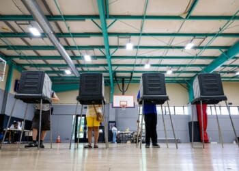DHS voter probe may break state laws and wrongly implicate U.S. citizens, whistleblower alleges
