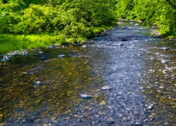 A river in Warren County, New Jersey is pictured.