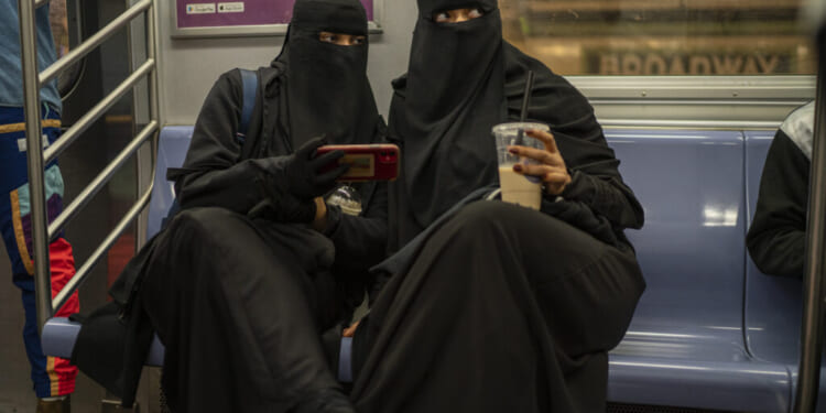 Documentary Details How Somali Immigrants Scam Americans