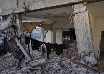 Fatal building collapse highlights dangers plaguing Gaza nearly a year after ceasefire