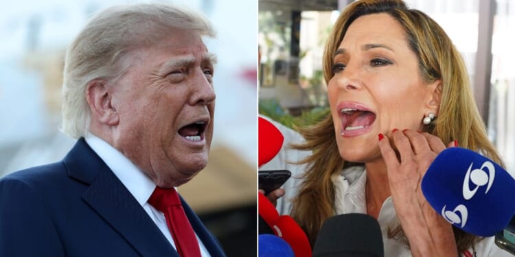 GOP Rep. Maria Elvira Salazar came out swinging against President Donald Trump in a campaign ad.