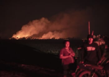 Latin America accounted for 85% of environmental defender killings in 2025, report says