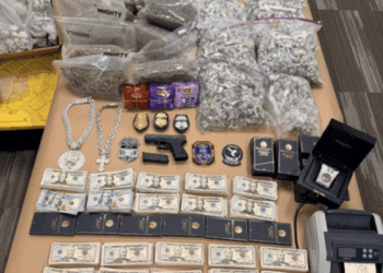 Man charged with running Forest Floor DC website to sell narcotics
