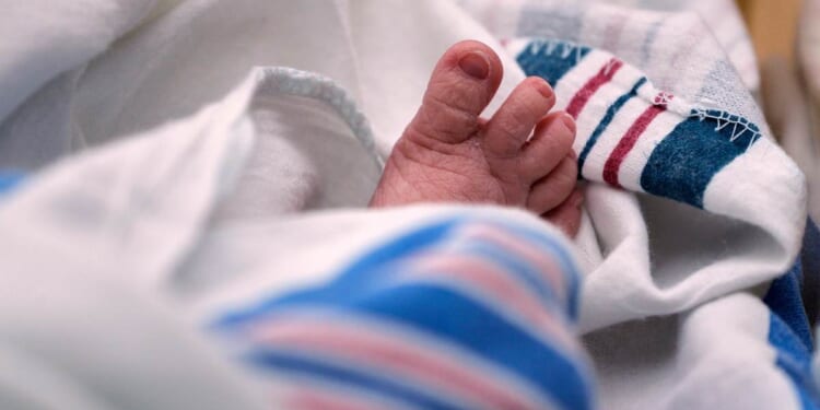 Missouri Mom Gets 13 Years for... Baking Her Baby – PJ Media