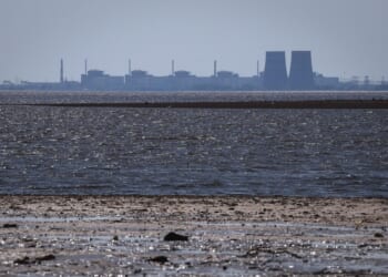 Nuclear plant in occupied Ukraine using emergency generators to cool reactors