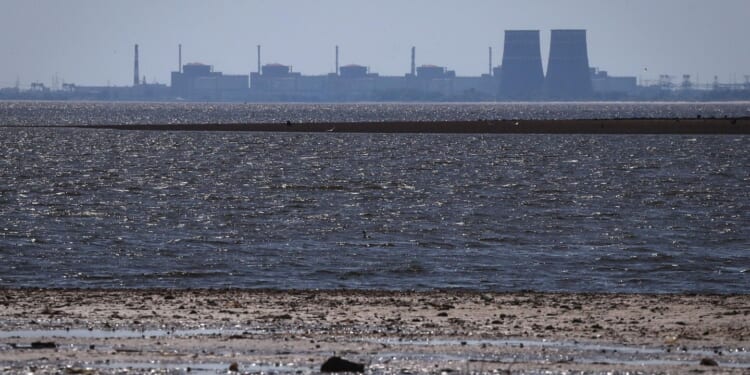 Nuclear plant in occupied Ukraine using emergency generators to cool reactors