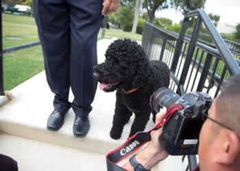 Obama family's pet dog Sunny dies at 13