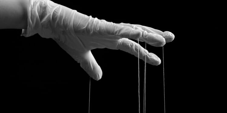 Pandemic relief fraud was not sophisticated. The verification was simply switched off