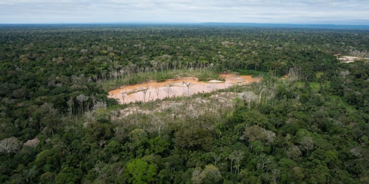Peru faces human rights court over protections for isolated Indigenous peoples in Amazon