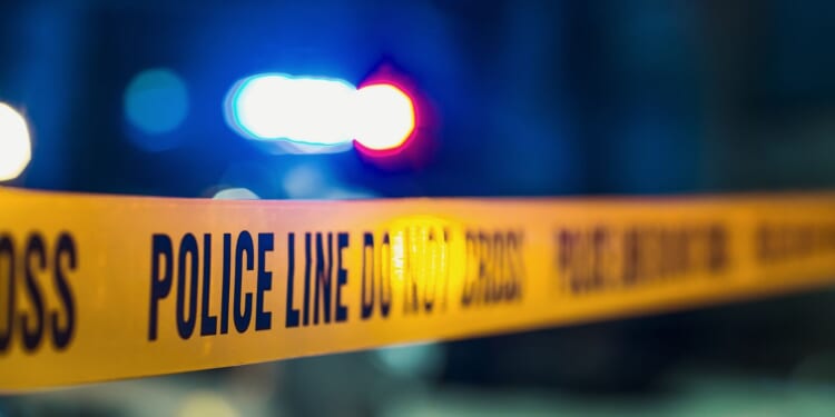 Pilot hospitalized after crashing World War II-era plane at Pennsylvania airport