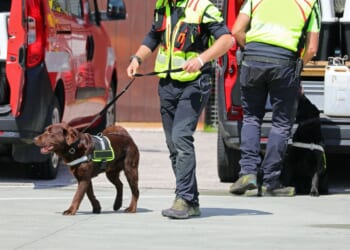 A K-9 unit during an emergency.