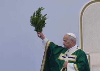 Pope blasts assisted dying as 'false compassion' at French shrine known for miraculous cures