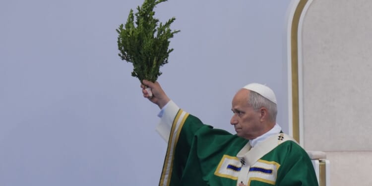 Pope blasts assisted dying as 'false compassion' at French shrine known for miraculous cures