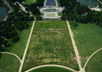 Portions of National Mall closed until January for turf, tree restoration